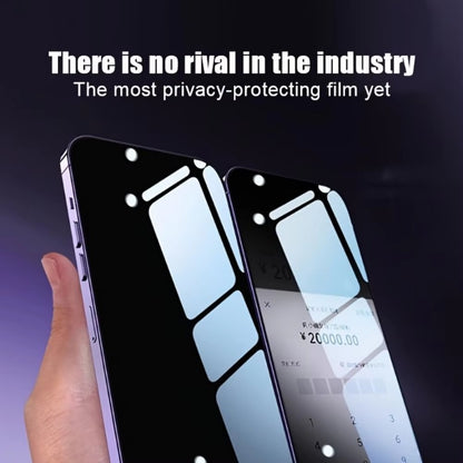 2pcs iPhone Anti-peeping protector