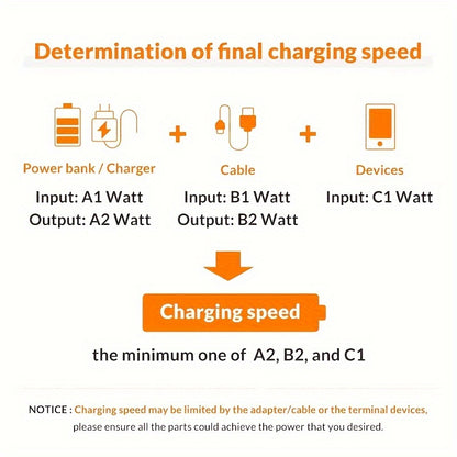 iPhone Wall Charger